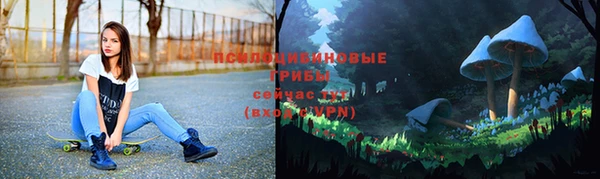 крисы Алексин
