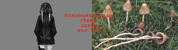 дживик Алзамай